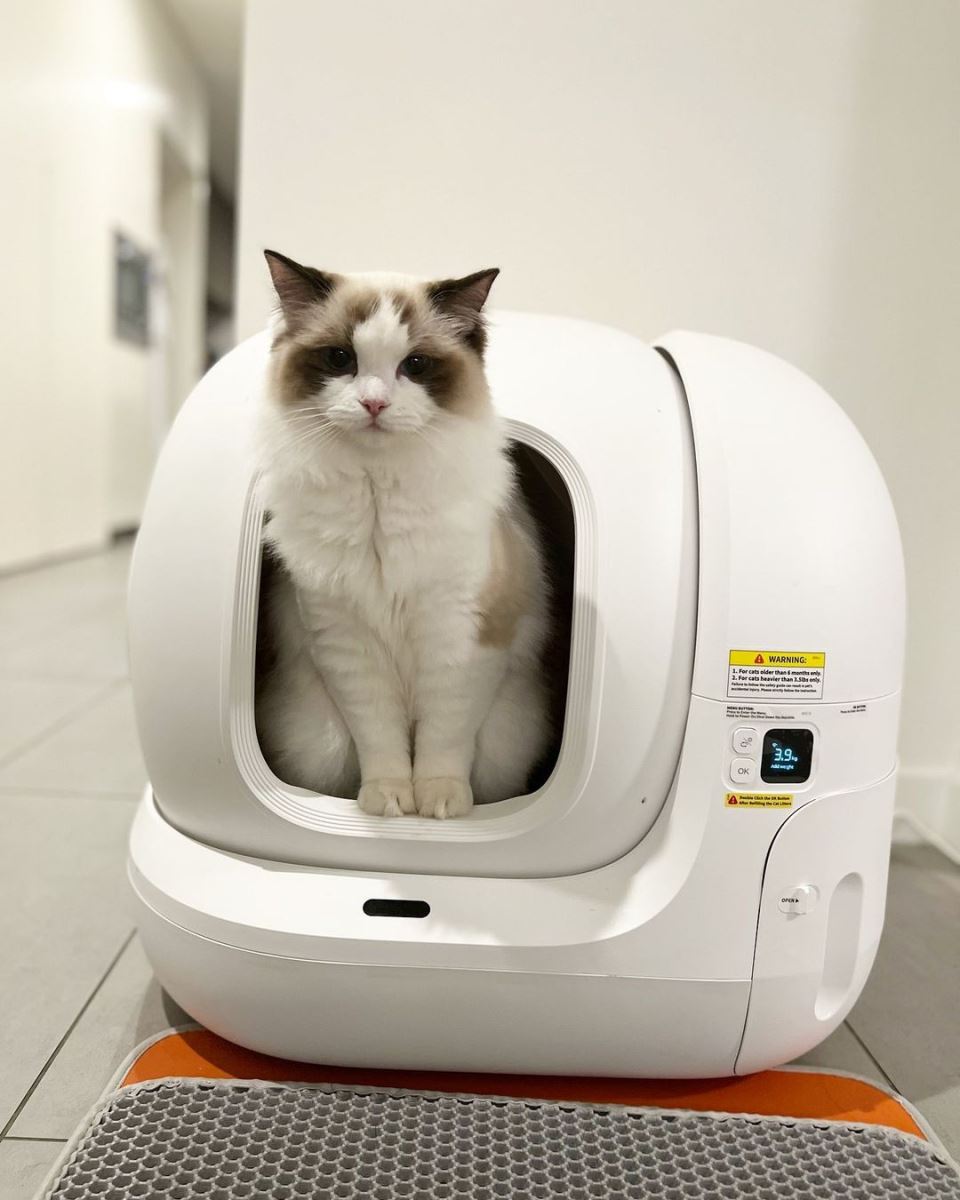 Petkit Pura Max 2024 - với nhiều tính năng hiện đại